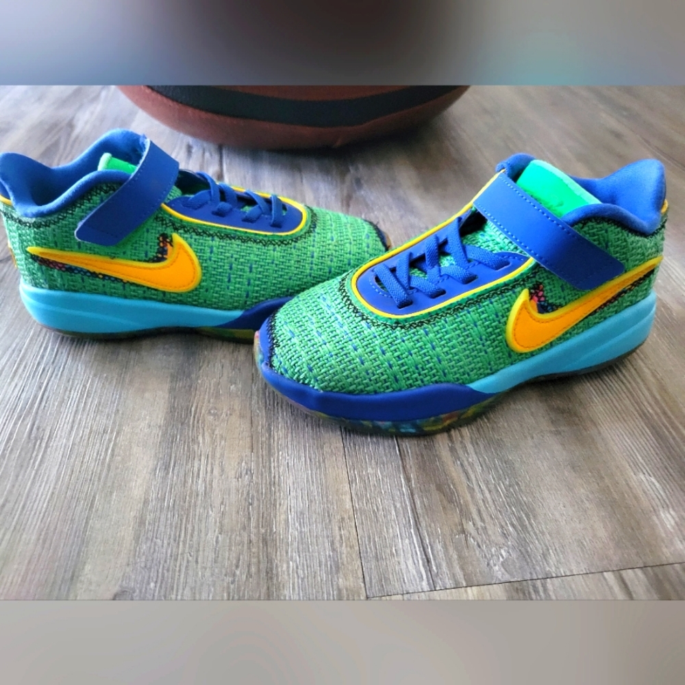Lebron XX SE